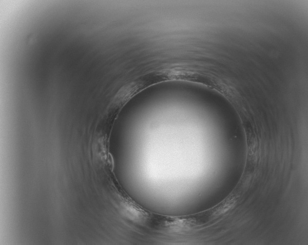 X0000060580430200511071050