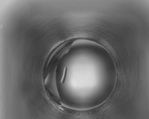 X0000060580434200511071049