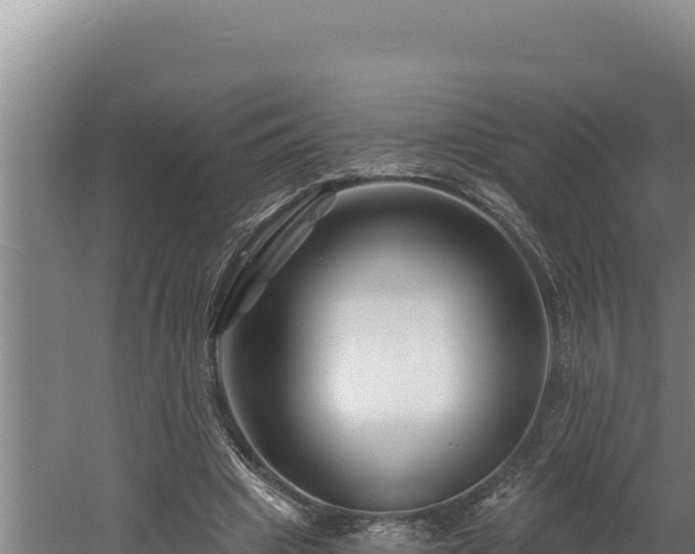 X0000060580441200511071049