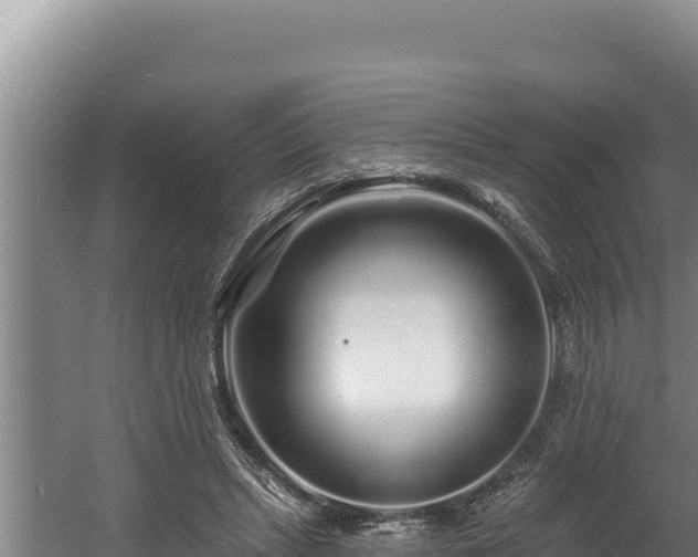 X0000060580447200511071049