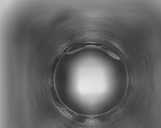 X0000060580455200511071050