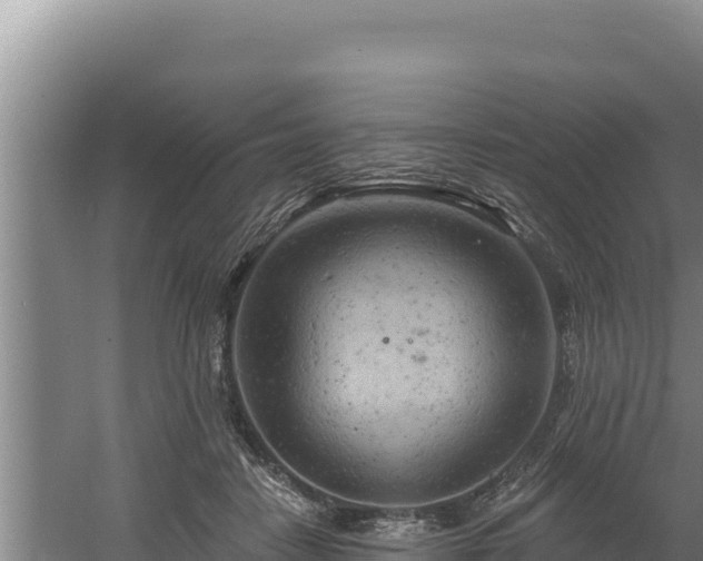 X0000060580458200511071050