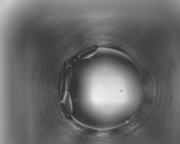 X0000060580462200511071050