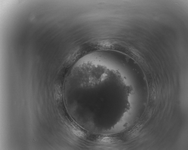 X0000060580467200511071050