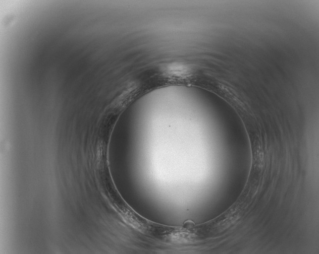 X0000060580468200511071050