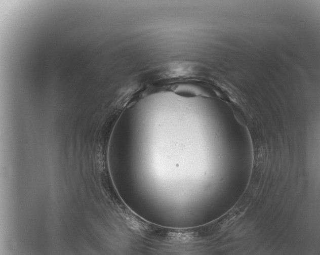 X0000060580469200511071050