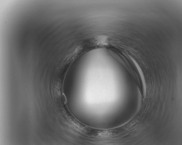 X0000060580470200511071050