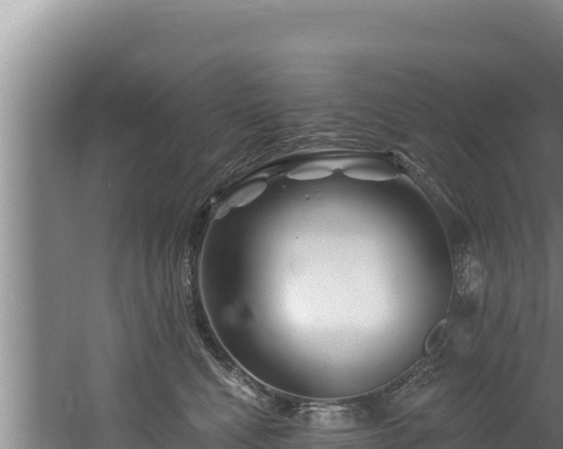 X0000060580472200511071050