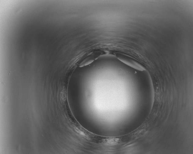 X0000060580474200511071050