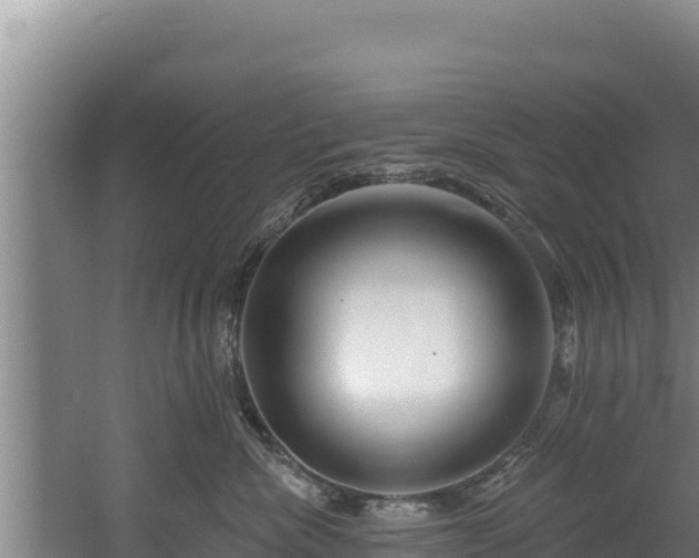 X0000060580476200511071050