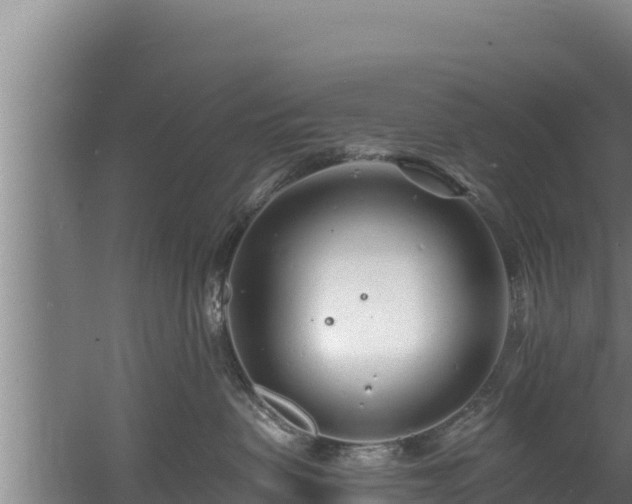 X0000060580479200511071050