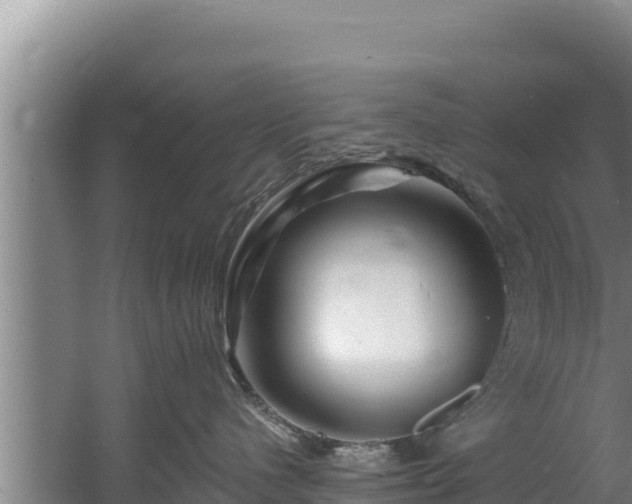 X0000060580480200511071050