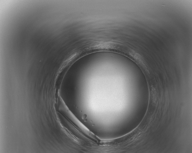 X0000060580486200511071049