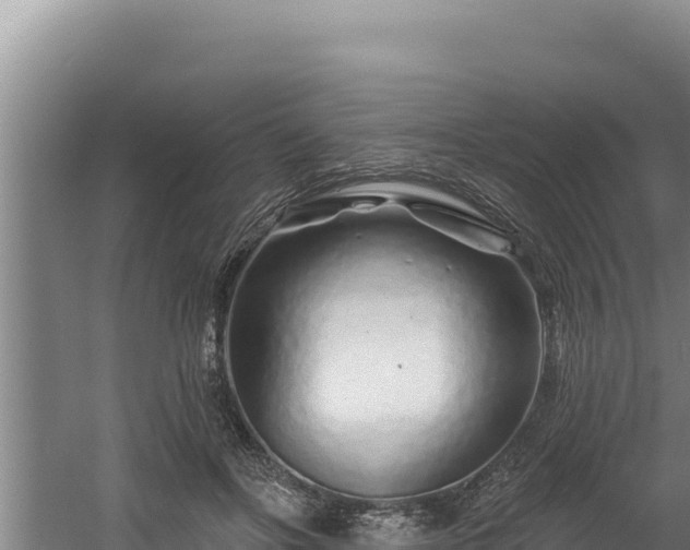 X0000060580502200511071049