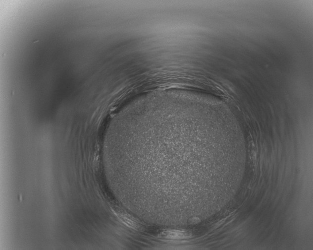 X0000060580507200511071049