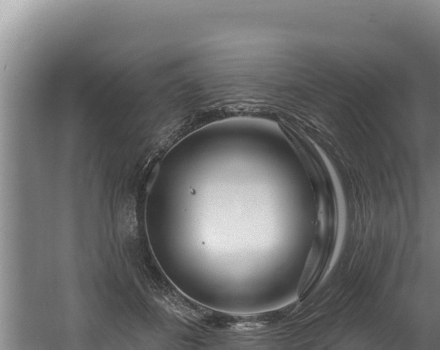 X0000060580508200511071049