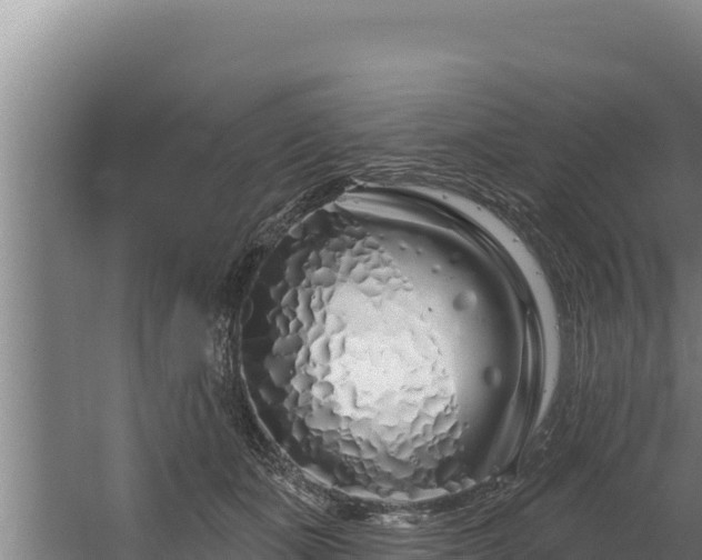 X0000060580511200511071049