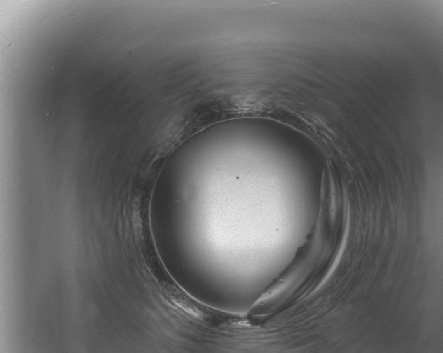 X0000060580516200511071049