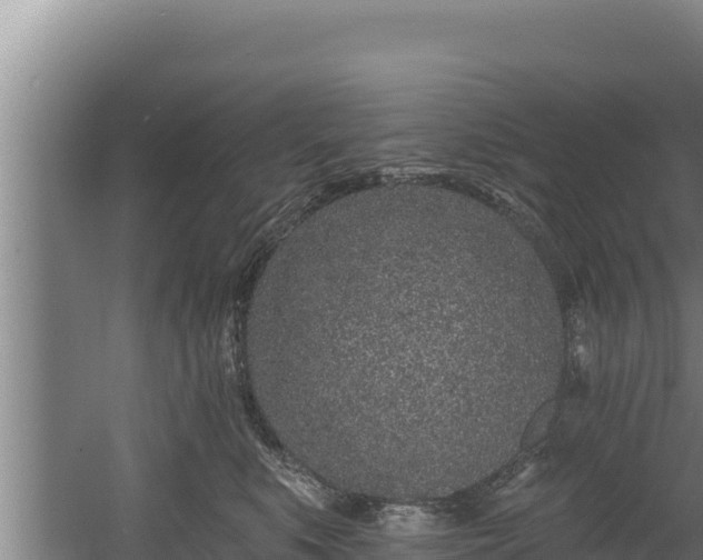 X0000060580519200511071048