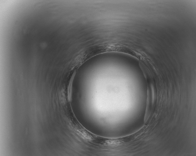 X0000060580520200511071048