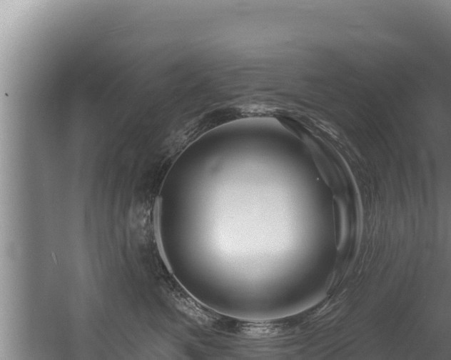 X0000060580521200511071048