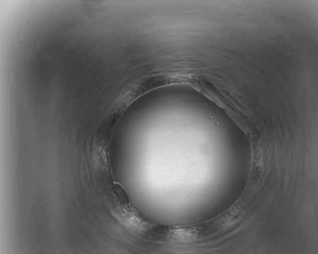 X0000060580522200511071048