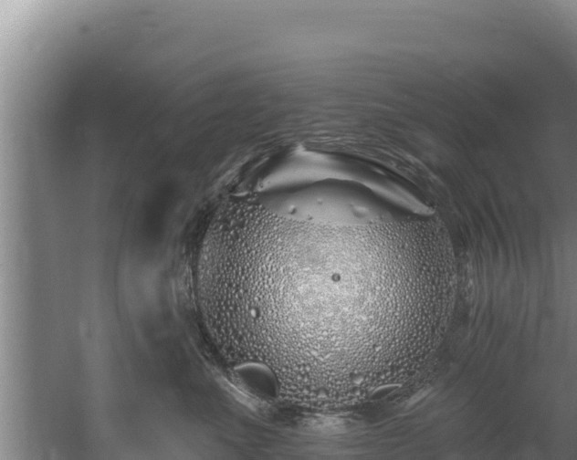 X0000060580523200511071048