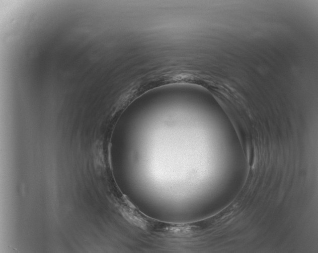 X0000060580524200511071048