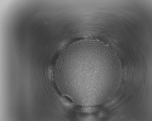 X0000060580527200511071048