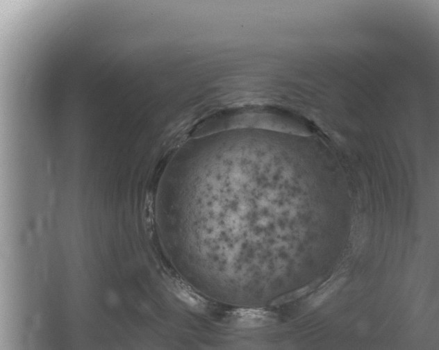 X0000060580528200511071048