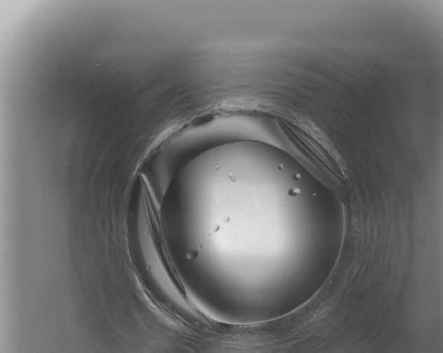 X0000060580530200511071048