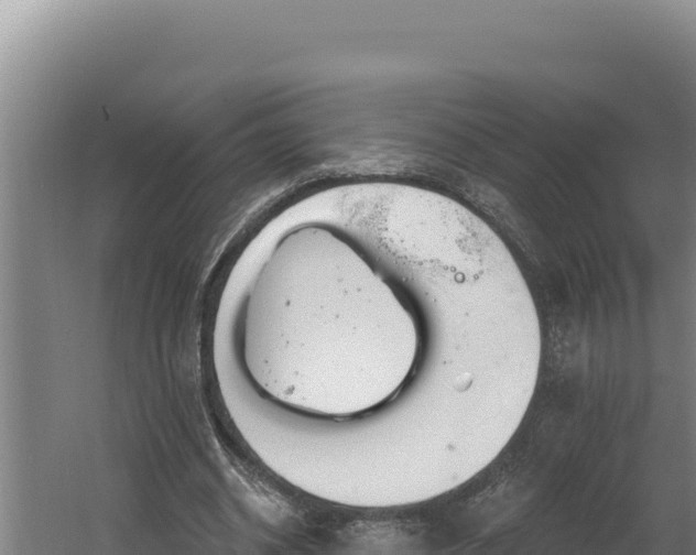 X0000060580534200511071048