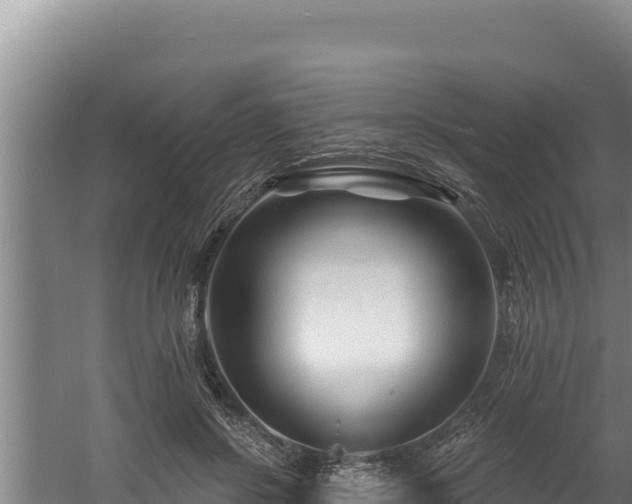 X0000060580550200511071048