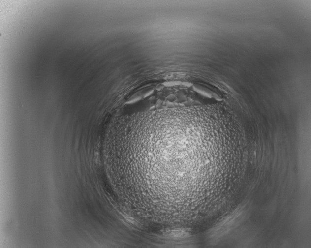 X0000060580553200511071048