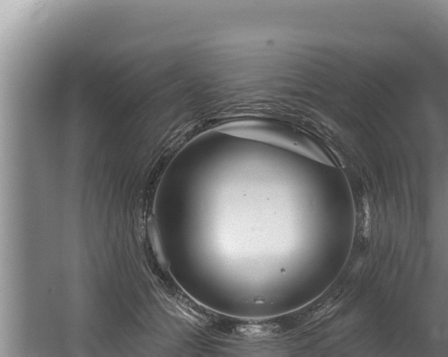 X0000060580558200511071048