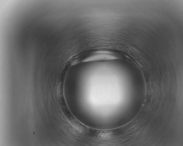 X0000060580560200511071048