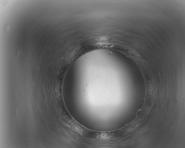 X0000060580565200511071048