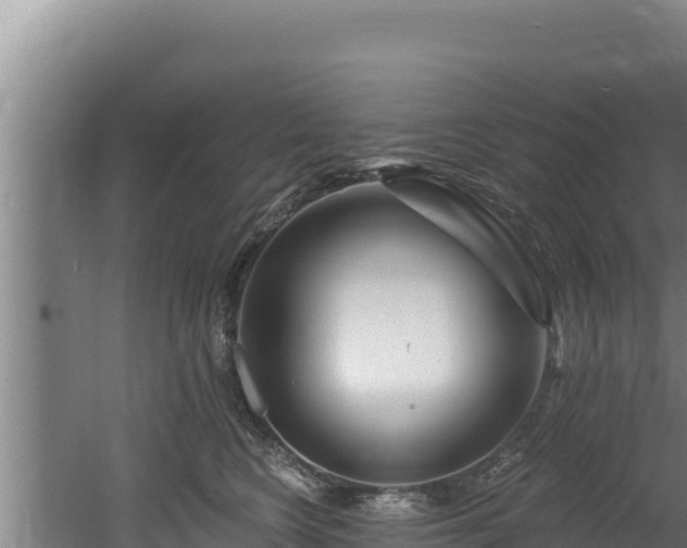 X0000060580566200511071048