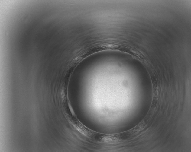 X0000060580568200511071048