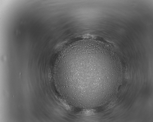 X0000060580569200511071048