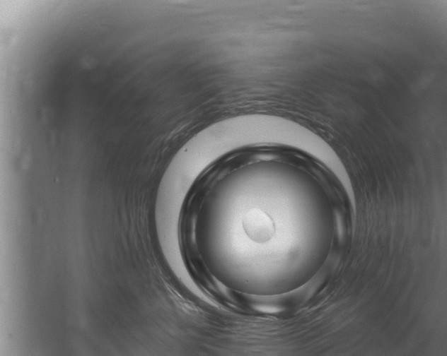 X0000060580570200511071048