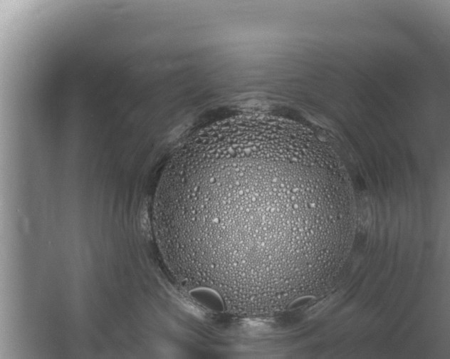 X0000060580573200511071048