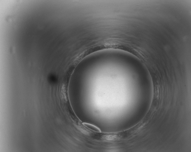 X0000060580575200511071048