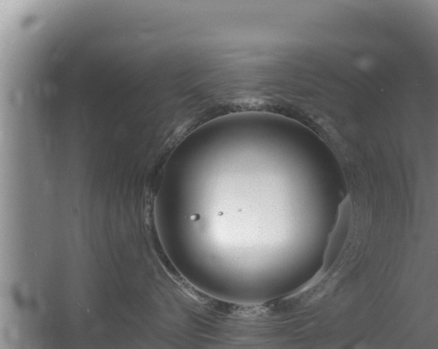 X0000060580576200511071048