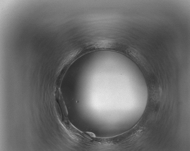 X0000060580586200511071047