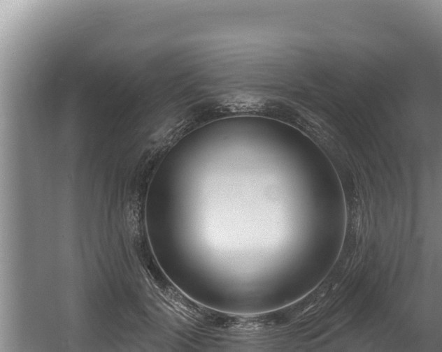 X0000060580604200511071047