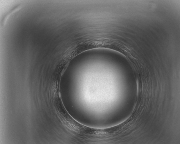 X0000060580605200511071047