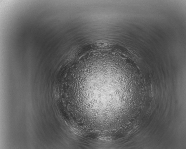 X0000060580606200511071047