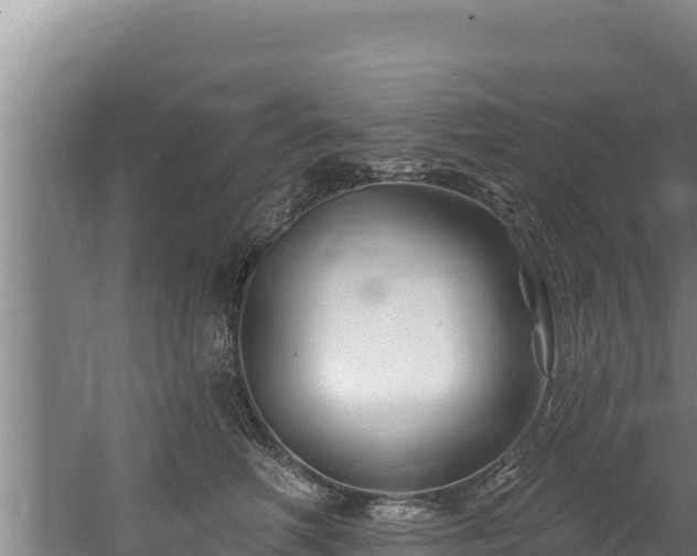 X0000060580614200511071047