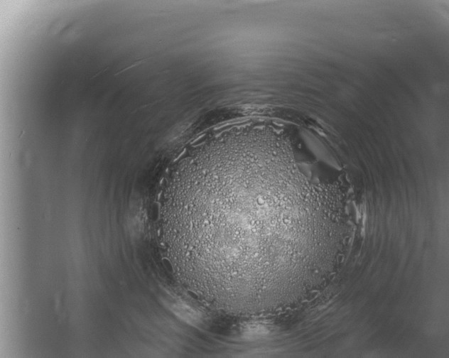 X0000060580618200511071047